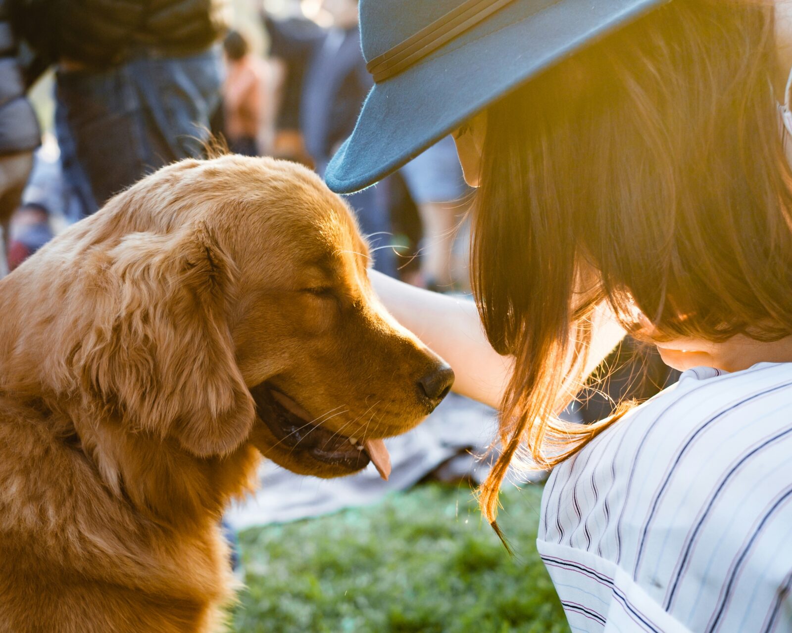 How to Train Your Pet Using Positive Reinforcement: A Complete Guide