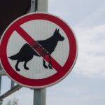 Dogs and the Law Your Rights and Responsibilities as a Pet Owner