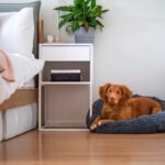 How to Choose the Right Dog Bed for Your Pet’s Comfort A Comprehensive Guide