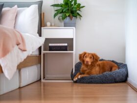 How to Choose the Right Dog Bed for Your Pet’s Comfort A Comprehensive Guide