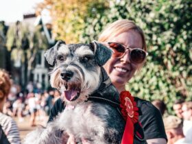 The Canine Athlete Exploring Dog Sports and Competitions