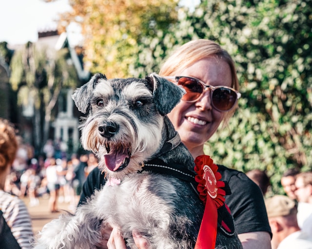 The Canine Athlete Exploring Dog Sports and Competitions