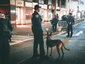 The Canine Detective Unveiling the Role of Dogs in Crime Solving