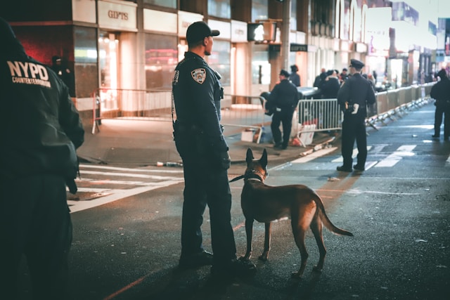 The Canine Detective Unveiling the Role of Dogs in Crime Solving