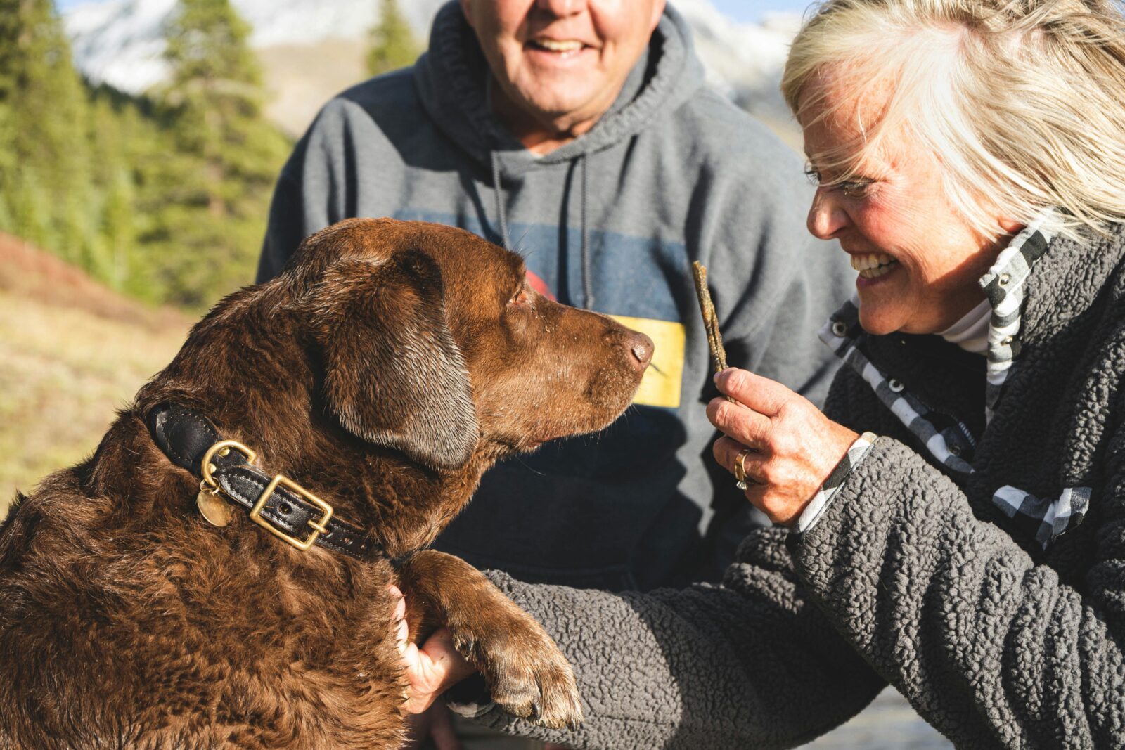 3 Tips to Help Your Dog Learn Basic Cues, According to a Pro