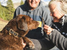 3 Tips to Help Your Dog Learn Basic Cues, According to a Pro