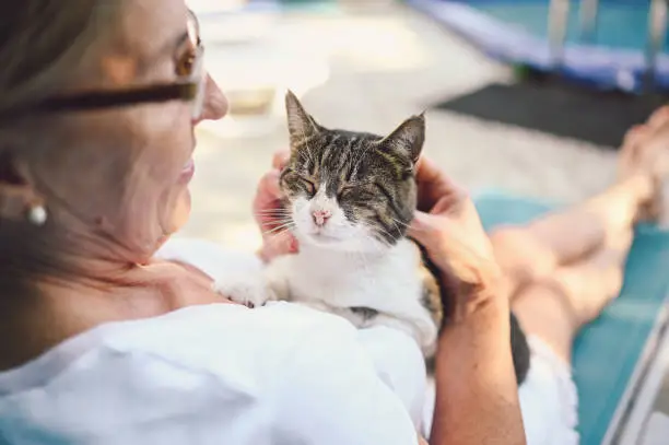 Tips for Feeding Your Pet a Balanced Diet: Dog and Cat Edition