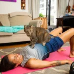 How to Set Up a Pet-Friendly Routine: Time Management Tips for Cat and Dog Owners