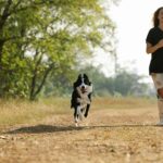 How to Safely Start Running With Your Dog