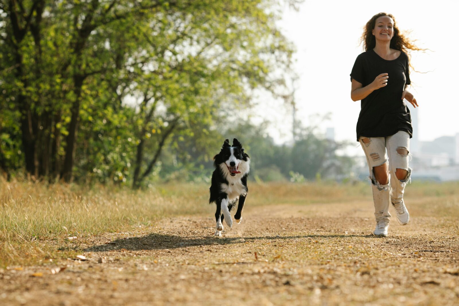 How to Safely Start Running With Your Dog