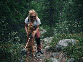 The Right Way To Hike With Your Dog