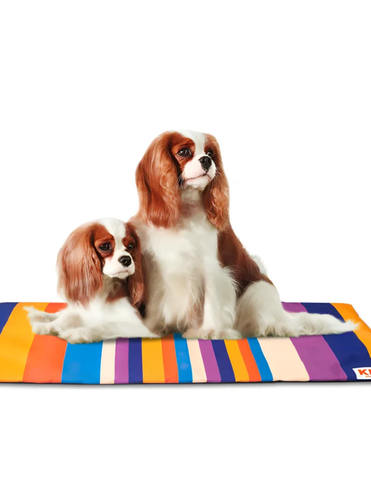 Lightweight and Portable Summer Mats for Dogs and Cats