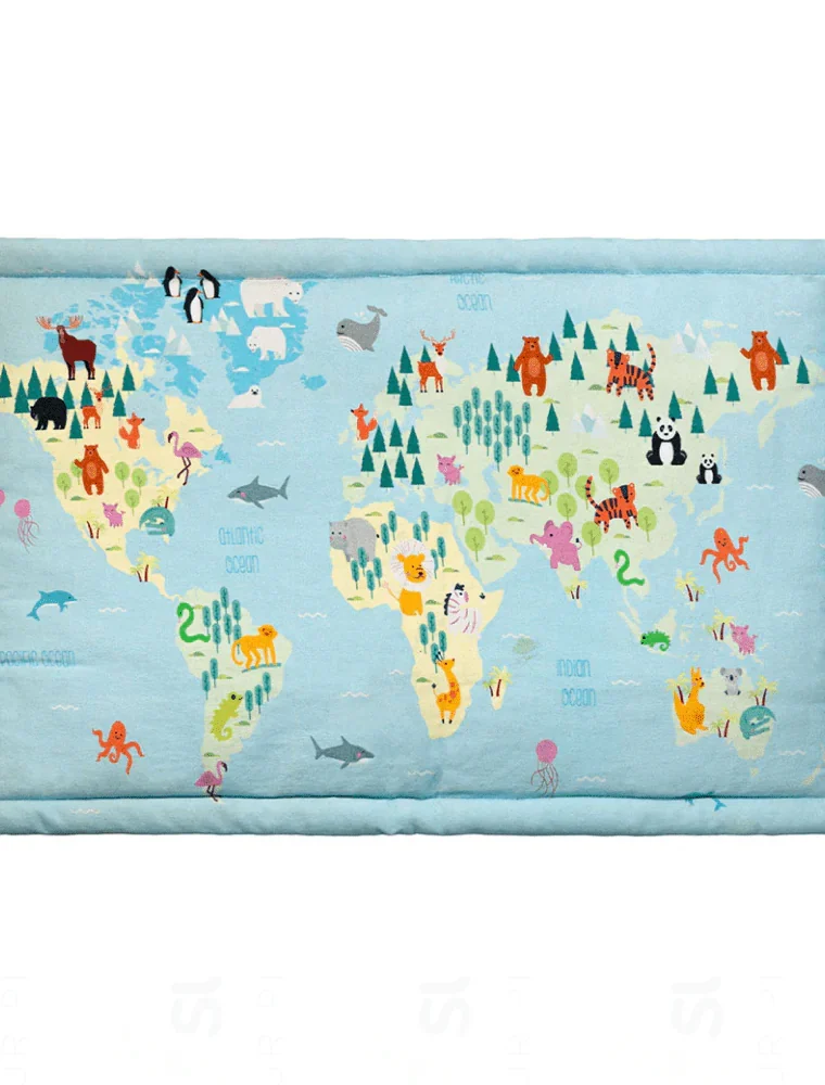 Map Mat for Dogs and Cats