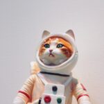 Cats in Space: Imagining Our Feline Friends as Astronauts