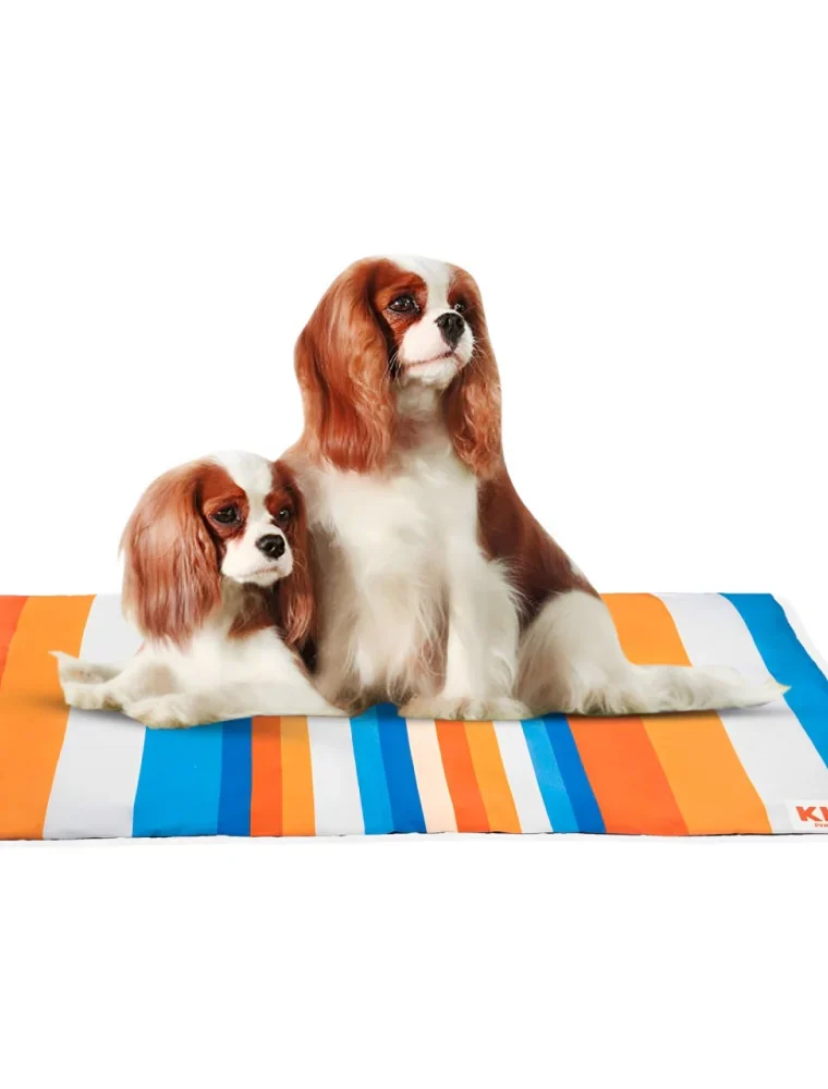 Kibbo Lightweight and Portable Summer Mats for Dogs and Cats (Orange/Blue)