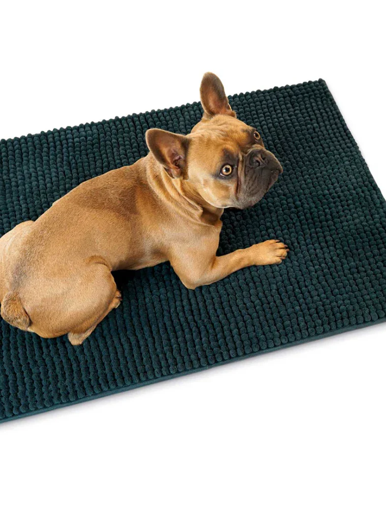 Hunter Waterloo Brush Mat for Dogs