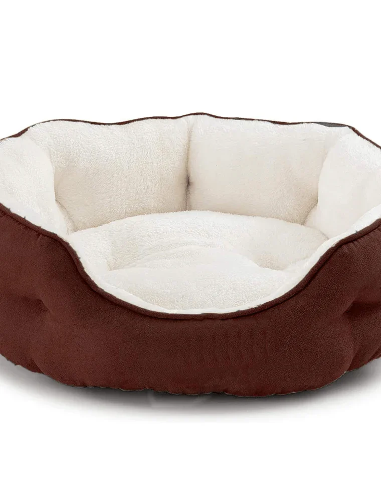 dog bedding