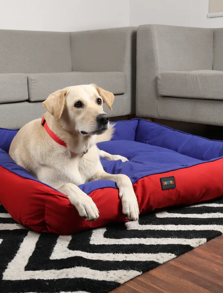 Square Bed for Dogs & Cats