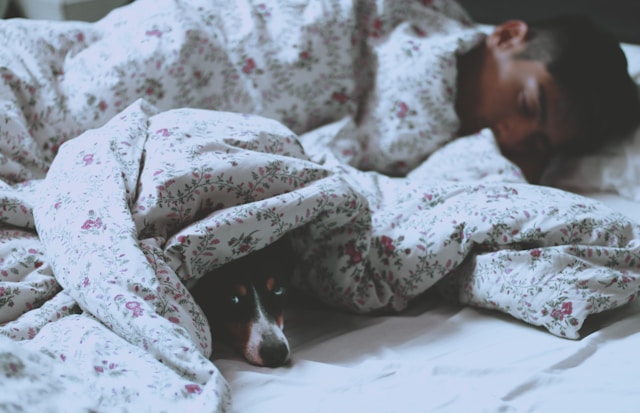 The Connection Pet Ownership and Improved Sleep