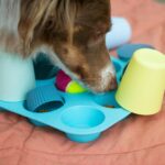 Best Toys for Senior Dogs: Keeping Older Pups Active and Happy