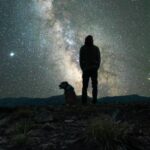 Safety Tips for Walking Your Dog at Night