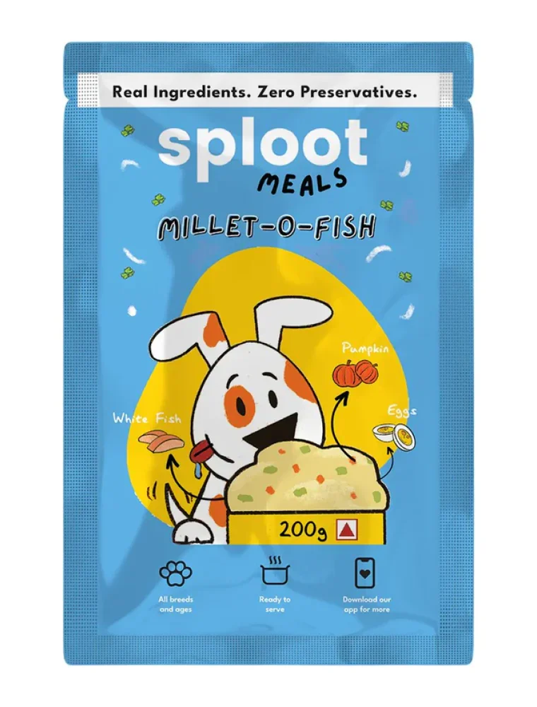 Dog Wet Food