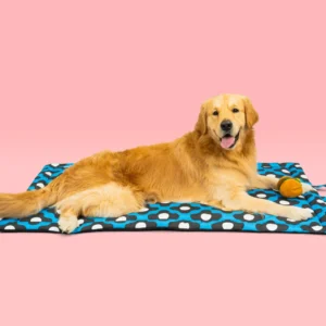 Go Bliss Mat for Dogs and Cats