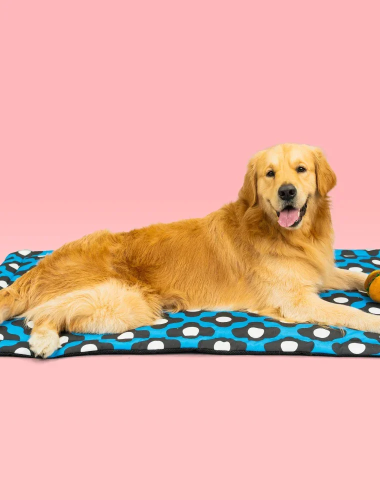 Go Bliss Mat for Dogs and Cats