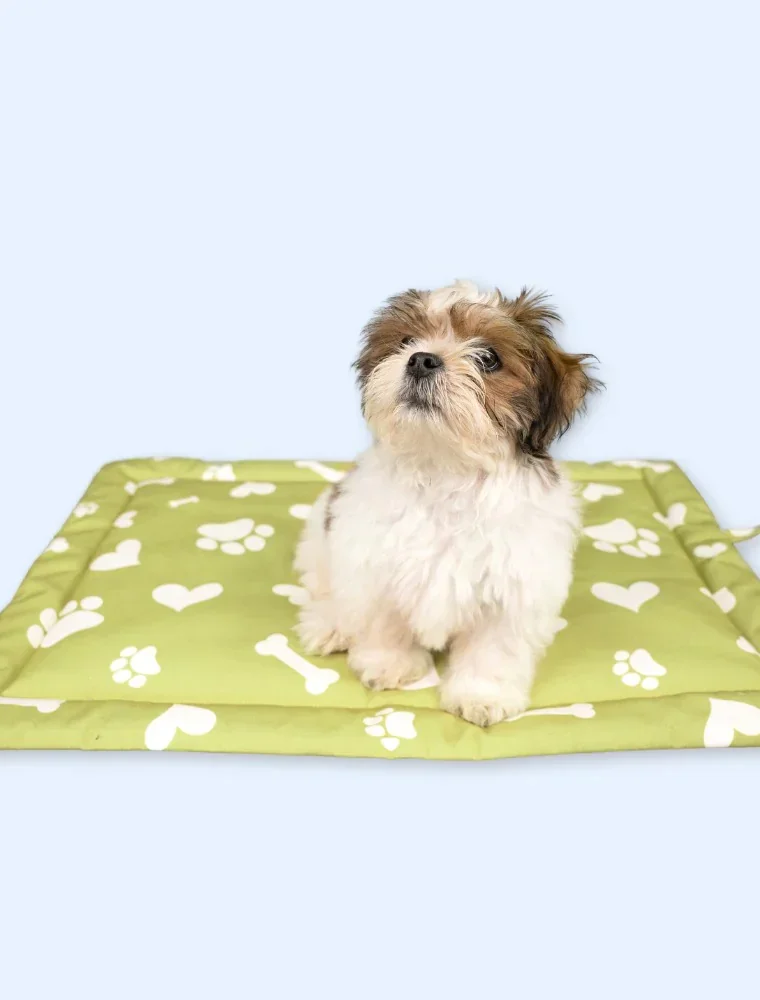 Heaven Mat for Dogs and Cats