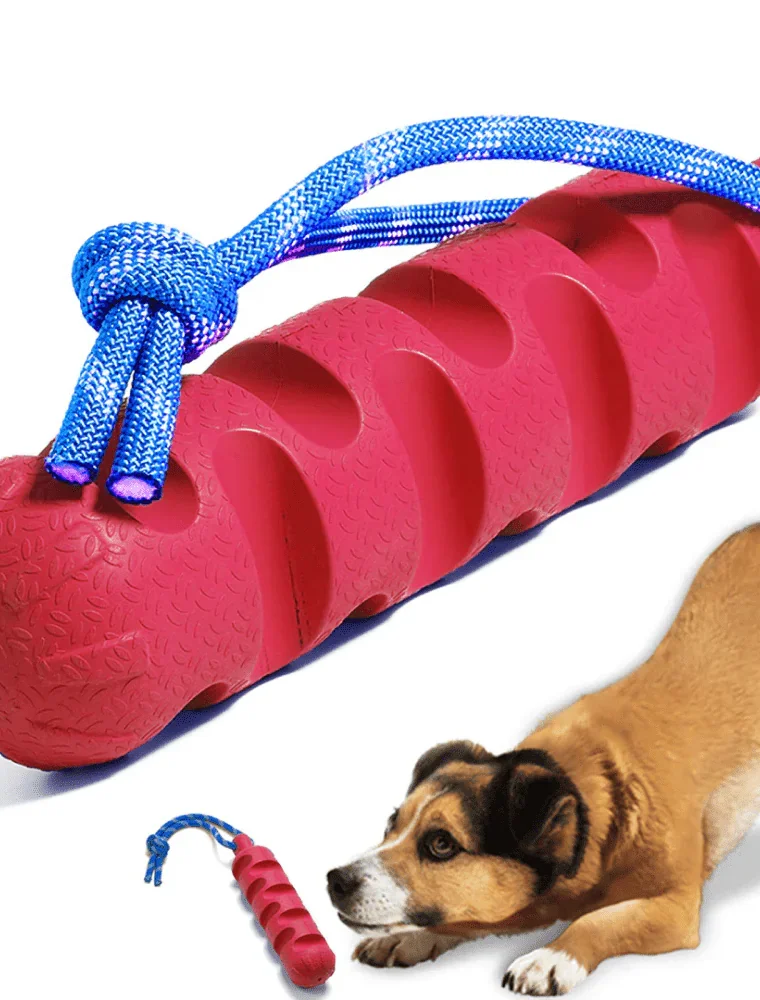 Chew Stick Toy for Dogs