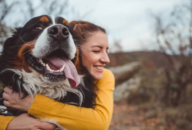 How to Handle Separation Anxiety in Pets: Effective Strategies for Cats and Dogs