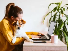 Creating a Pet-Friendly Work Environment