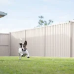 How to Create a Pet-Safe Backyard