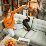 How to Help Your Pet Adjust to a New Home