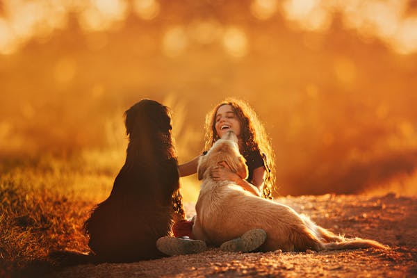 How Pets Enhance Childhood Development