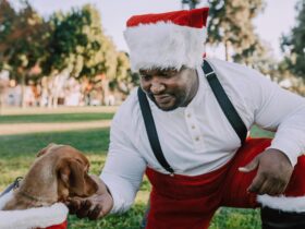 Holiday Pet Safety Tips