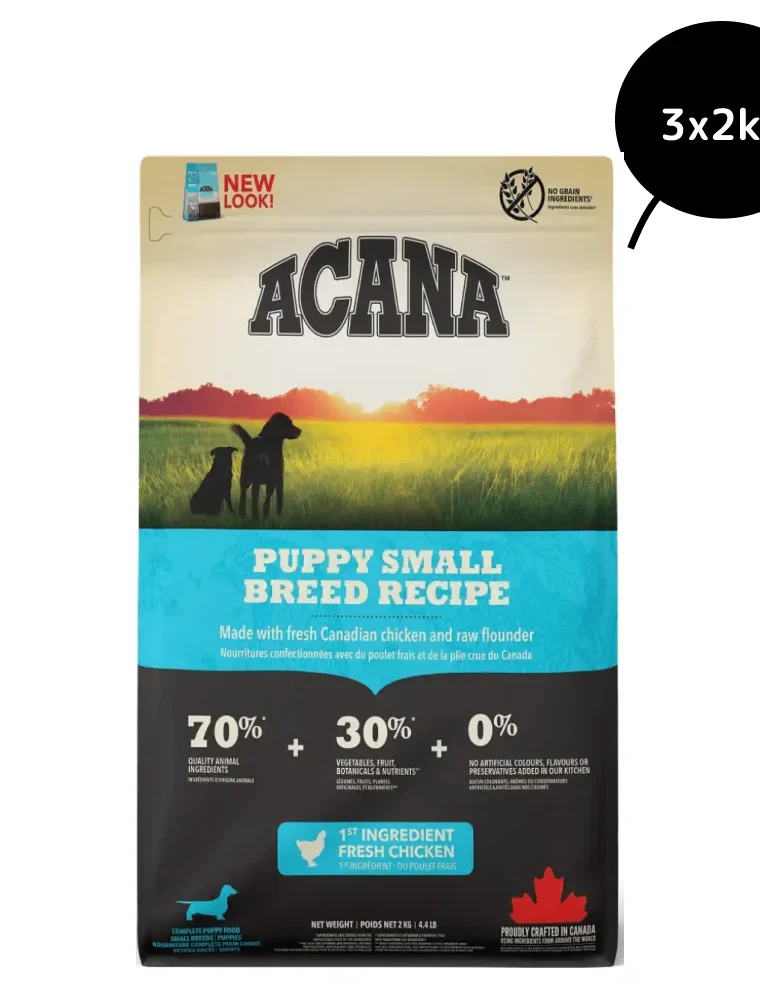 Grain free dog food