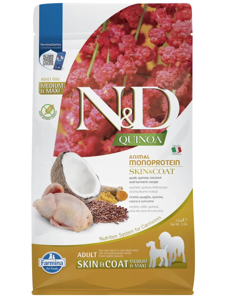 Grain free dog food