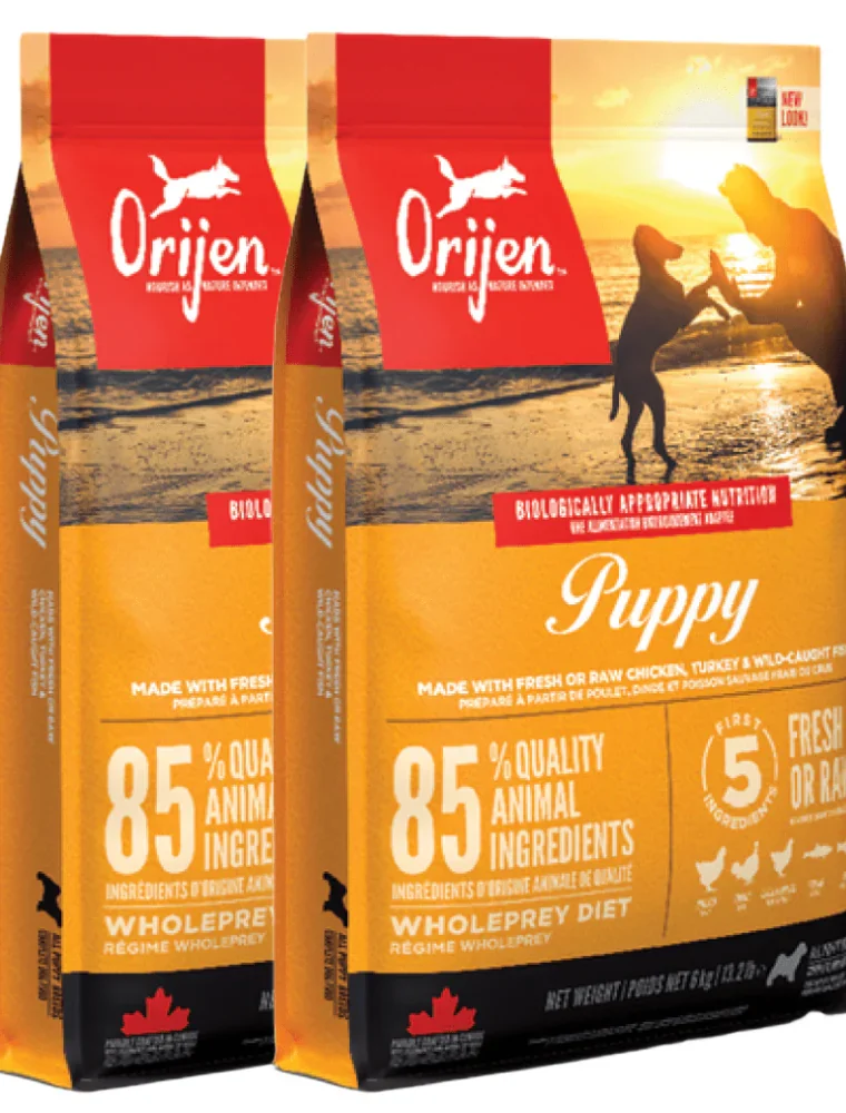 Grain Free Dog Food