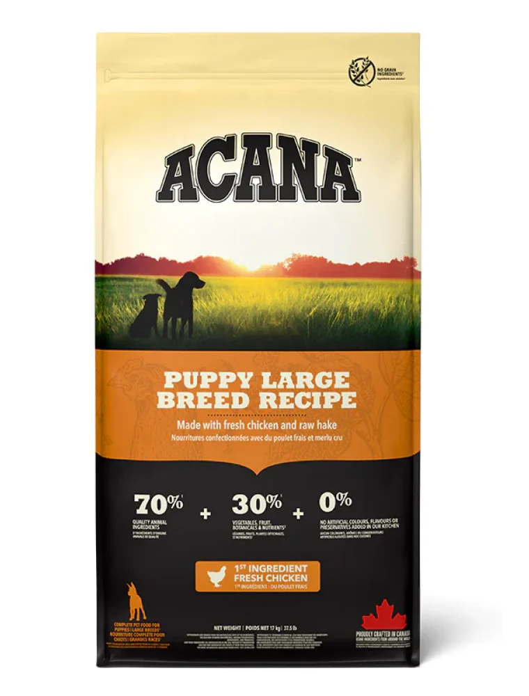 Grain free dog food