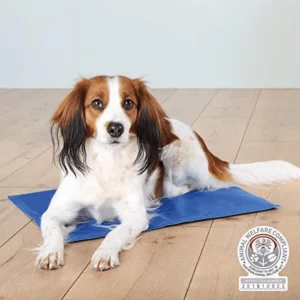 Cooling Mats for Dogs and Cats