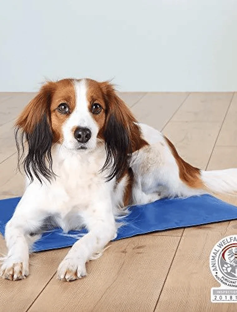 Cooling Mats for Dogs and Cats