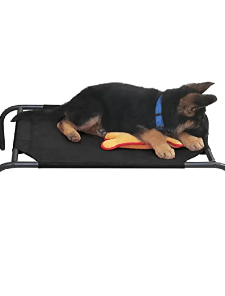 Bed for Dogs and Cats (Black)