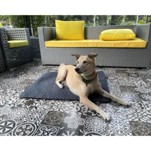 Summer Mat for Dogs (Autumn Grey)