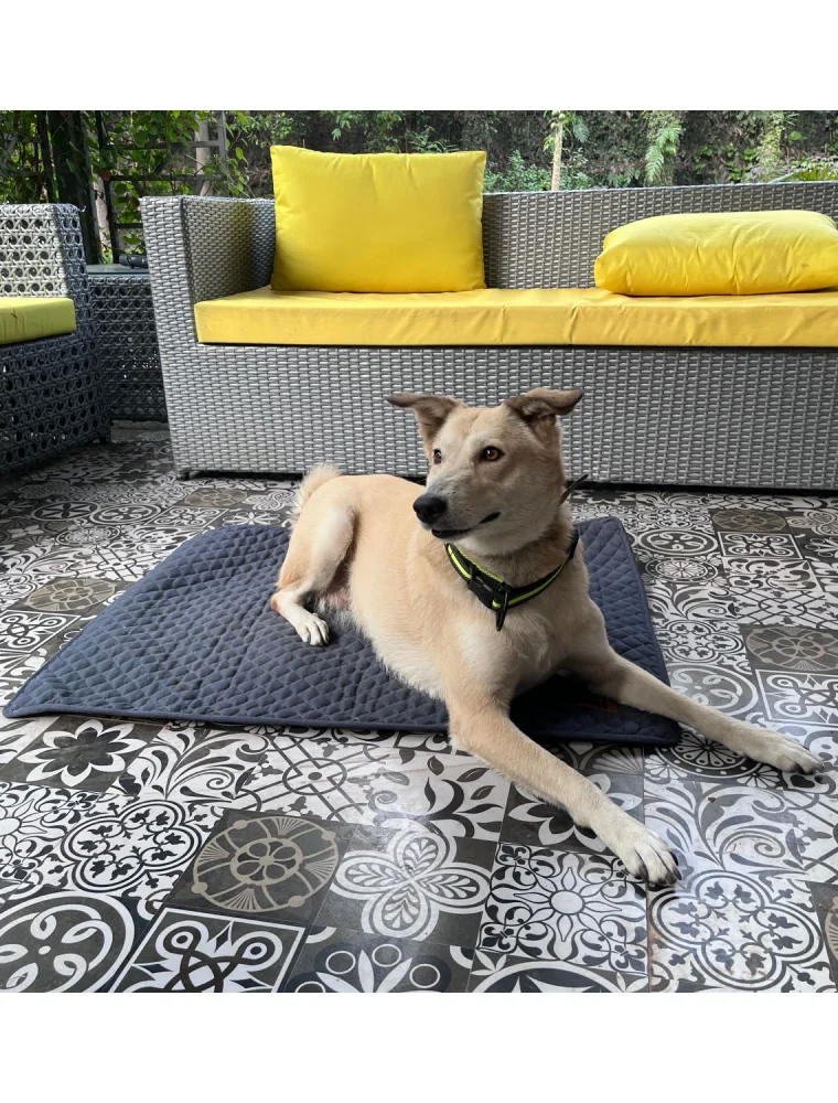 Summer Mat for Dogs (Autumn Grey)