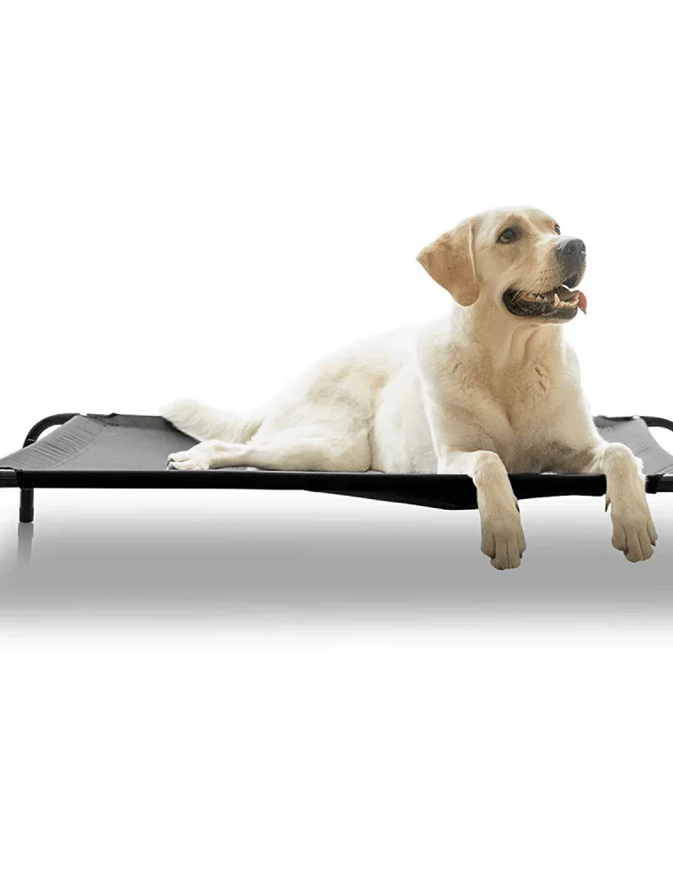 Camping Bed for Dogs (Grey)