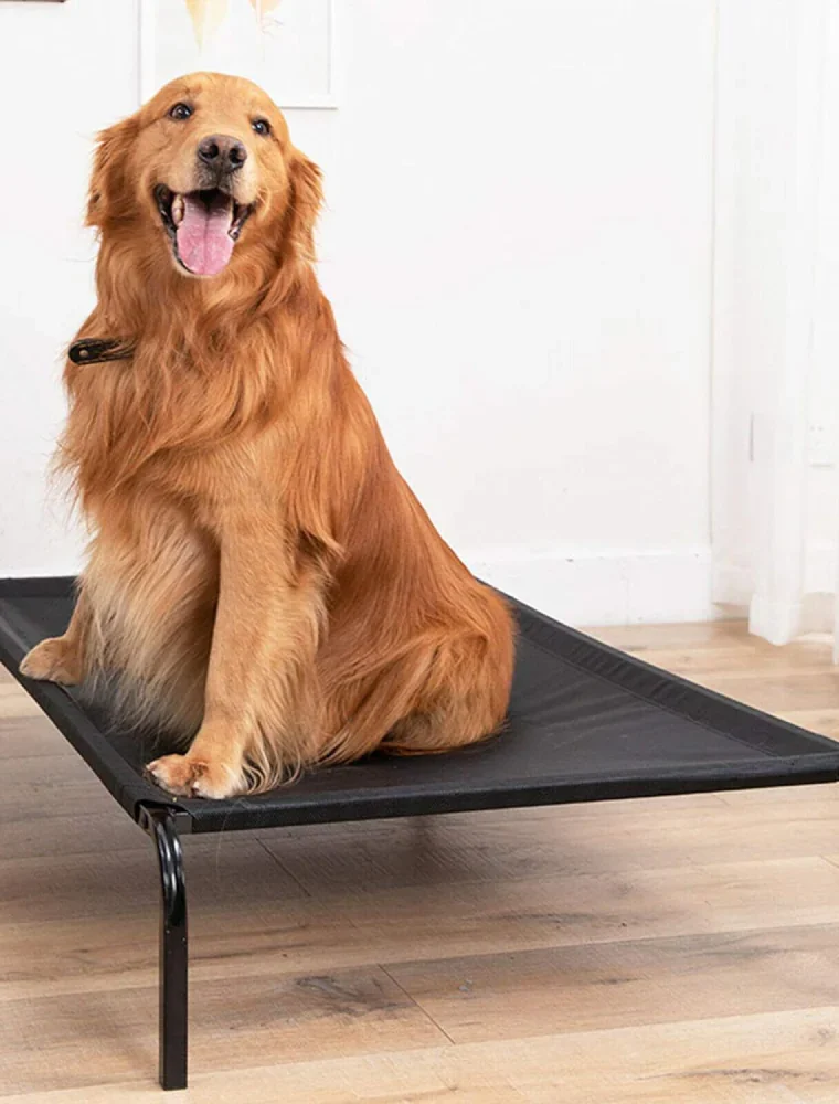 Camping Bed for Dogs (Black)