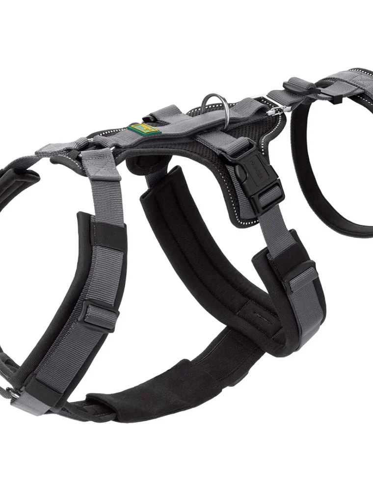 Hunter Maldon Safety Harness for Dogs (Black)