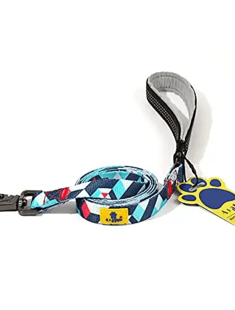 A Plus A Click & Lock Hook Geometric Design Leash for Dogs and Cats