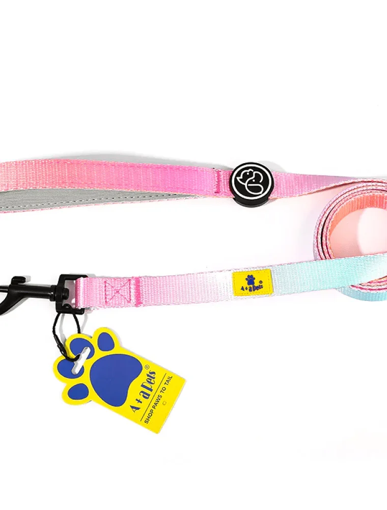 A Plus A Pets Skin Friendly Gradient Design Leash for Dogs (5ft, Pink)